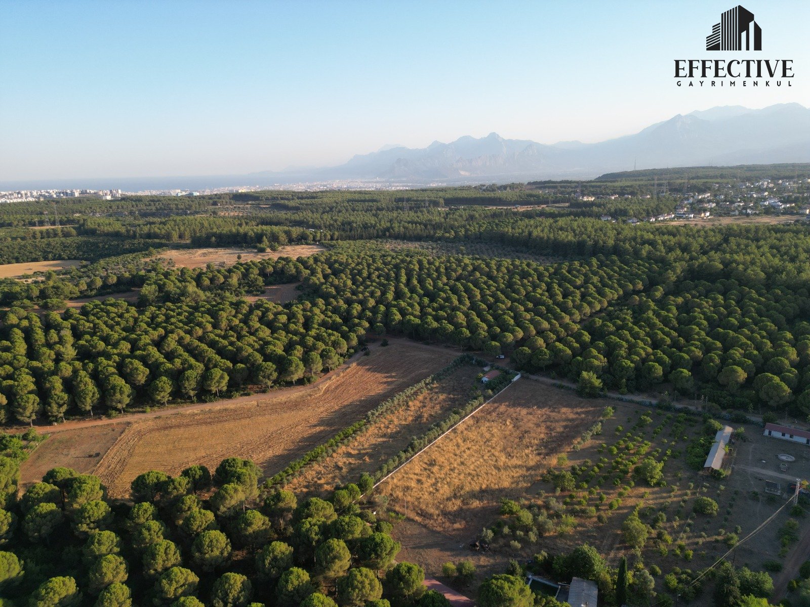 KEPEZ DUACI'DA ORMANIN İÇİNDE MÜKEMMEL ARAZİ *REF532