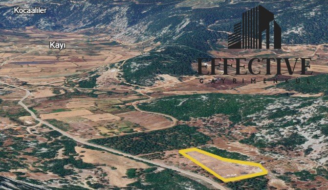 BURDUR BUCAK'TA 7.009 M² SATILIK YOL KENARI TARLA *REF521